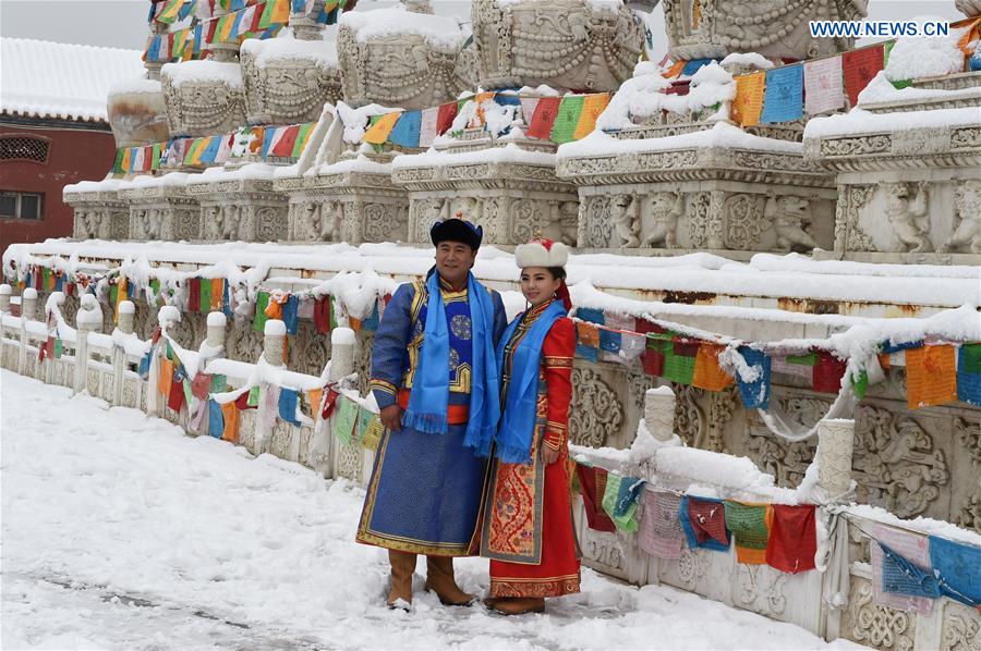 Heavy snowfall hits vast area of N China