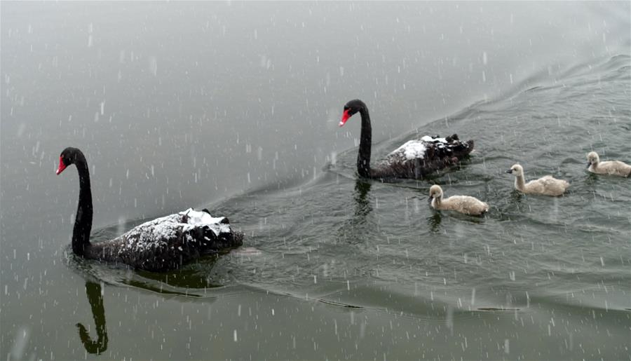 Icy China