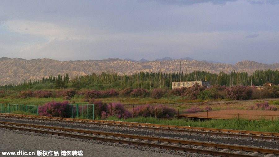 China's beauty by rail