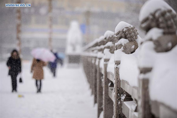 Heavy snow disrupts air traffic, closes schools in Urumqi