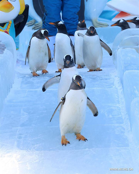 Record-breaking cold freezes 90 percent of China