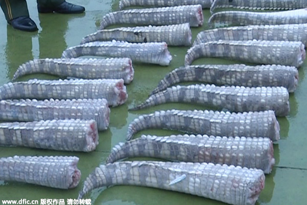 Police seizes 158 crocodiles at China-Vietnam border