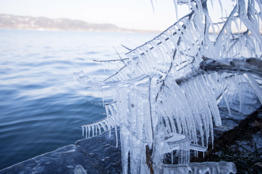 Cold snap brings joy and beauty to south China