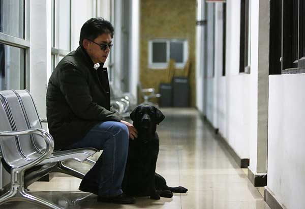 Guide dogs lead the way for the visually impaired