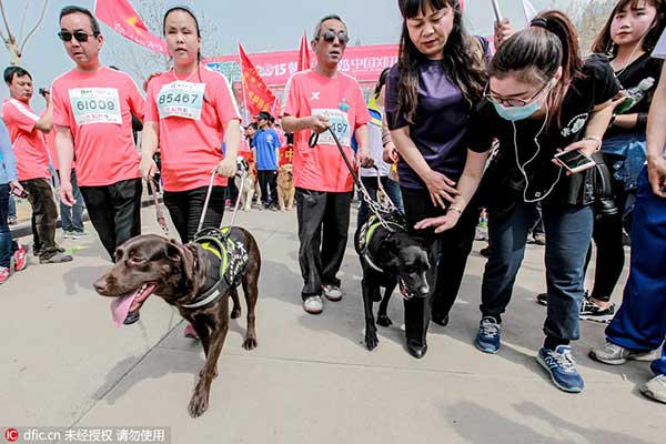 Guide dogs lead the way for the visually impaired