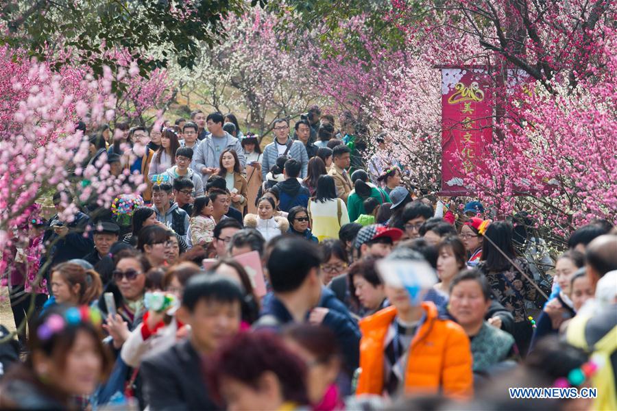 People view plum blossoms at scenic area in E China