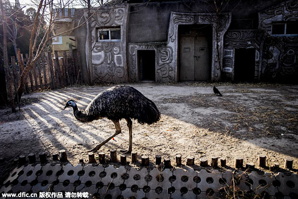 110-year-old Beijing Zoo may partially relocate: Urban planner