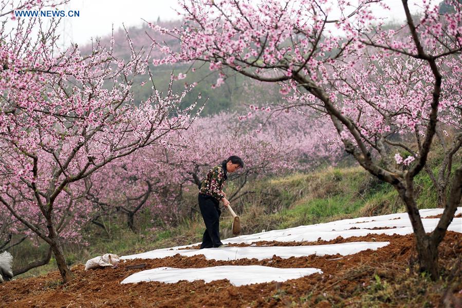 'Chunfen', or Spring Equinox, marked around China