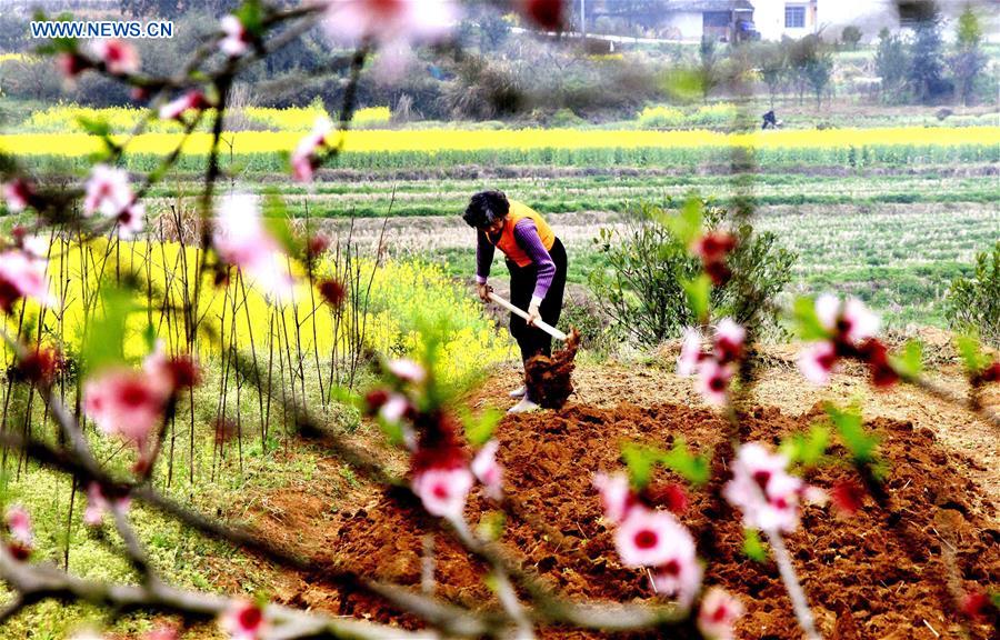 'Chunfen', or Spring Equinox, marked around China