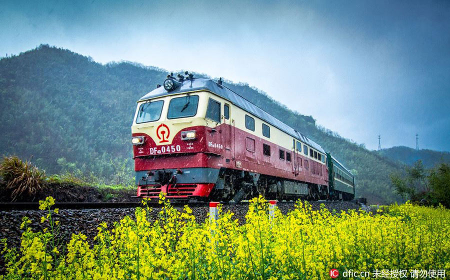 Train rides through blossoms