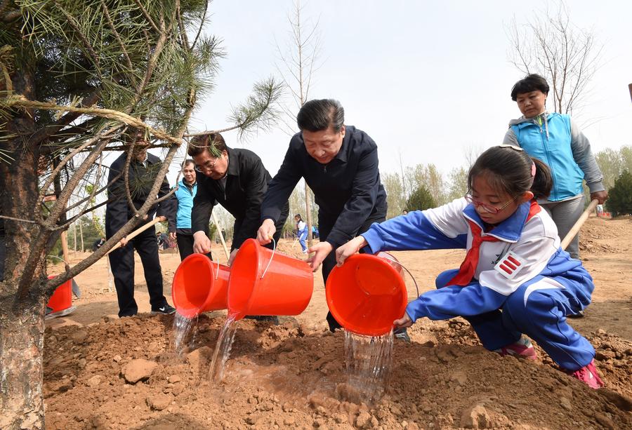 Top Chinese leaders attend voluntary tree-planting in Beijing