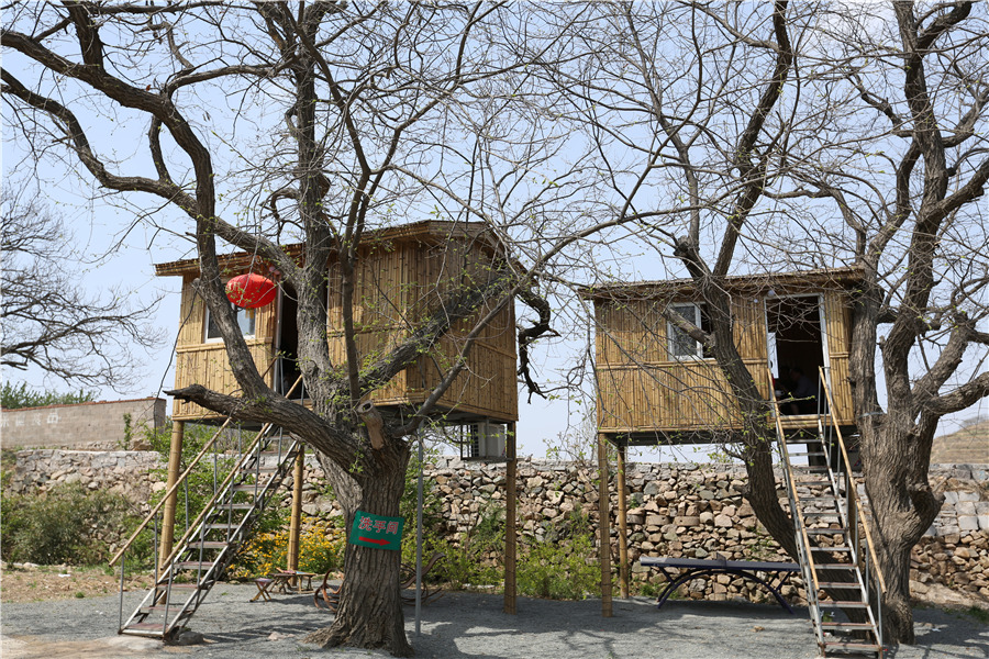 Dine in a tree: Shandong's ecotourism attraction