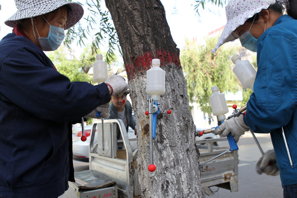 Fighting catkins with chemicals