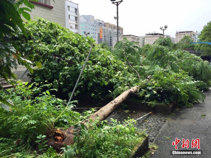 Tornado, heavy rain batters Central China's Hunan