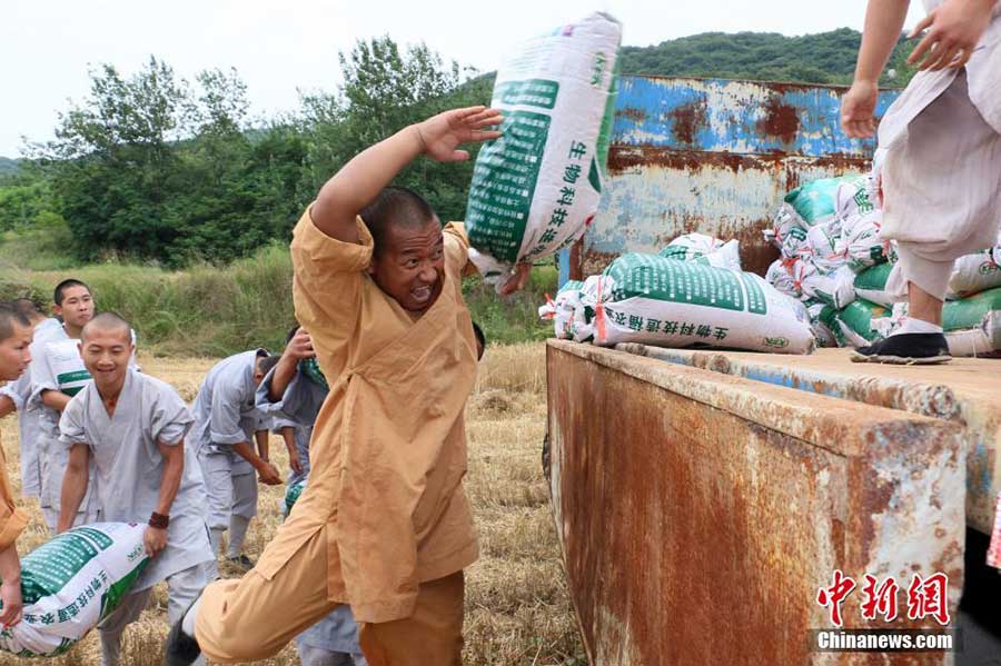 'Zen harvest' in Shaolin Temple