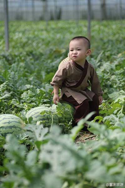 Cute watermelon baby goes viral