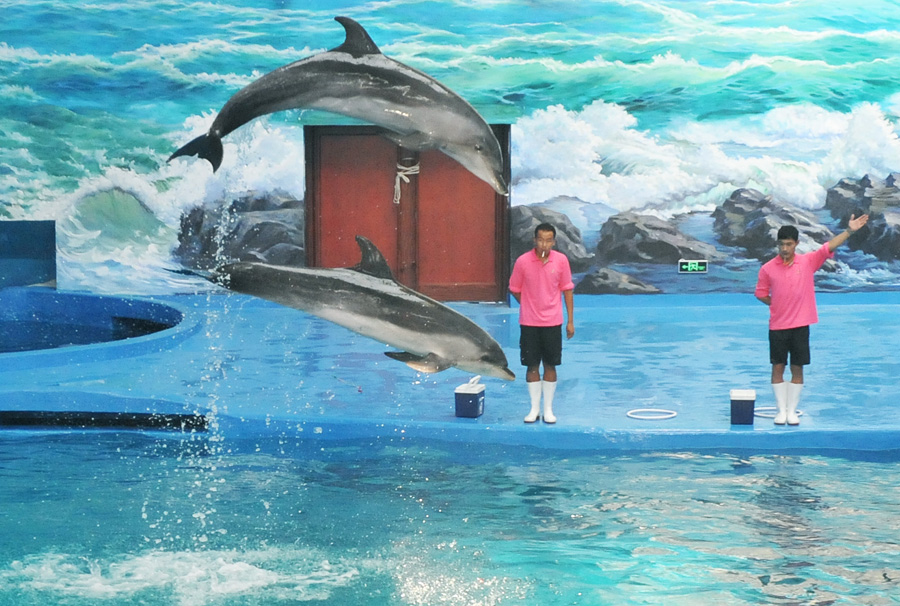 First polar aquarium in Guizhou set to wow visitors