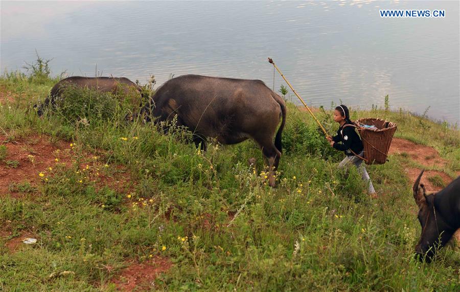 Story of a 'left-behind child' in SW China