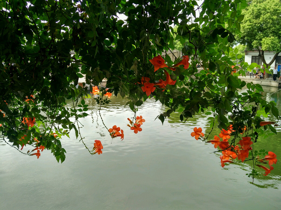 Beautiful scenes and casual life in Shaoxing