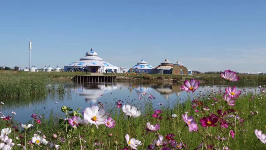 Autumn scenes brighten the landscape in Inner Mongolia