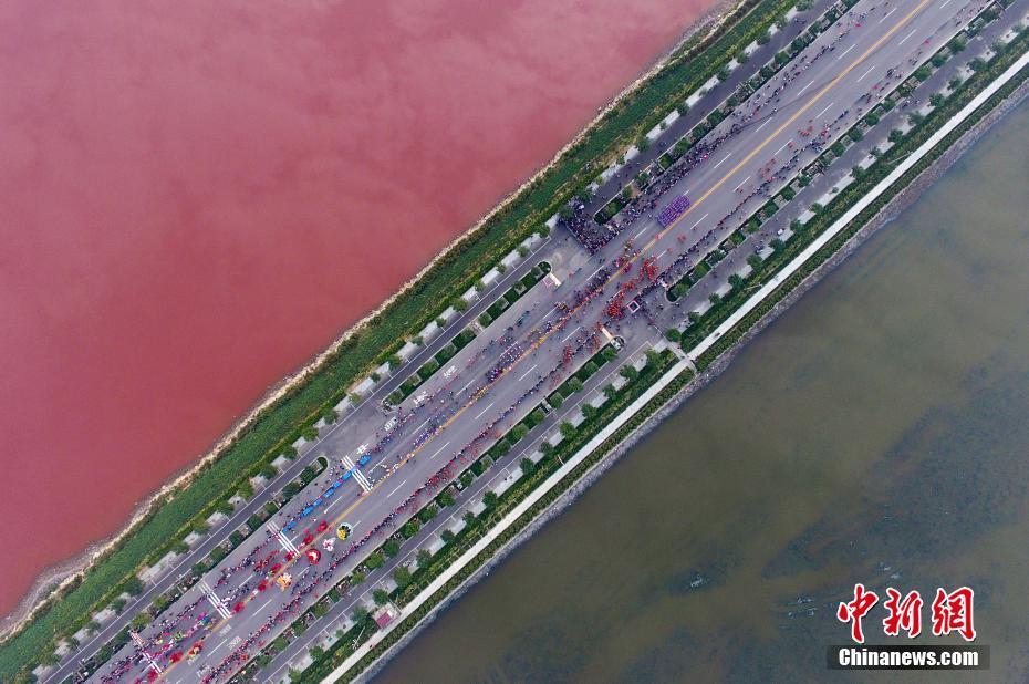 Ancient salt lake turns pink due to algae