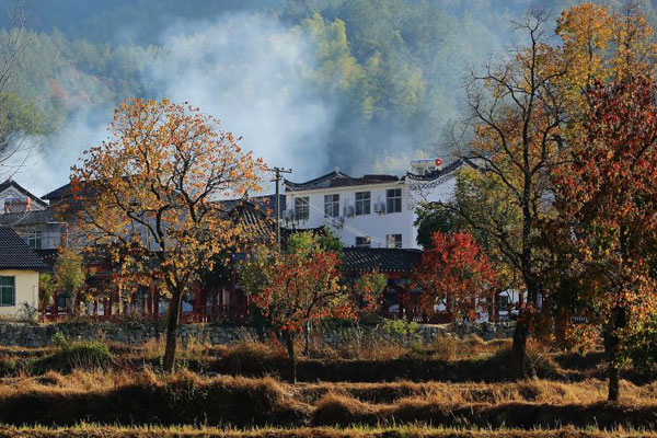 Autumn splendor in Central China's Dabie Mountains