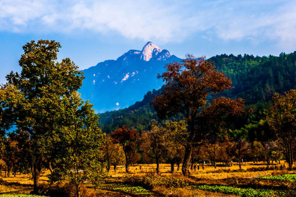 Autumn splendor in Central China's Dabie Mountains