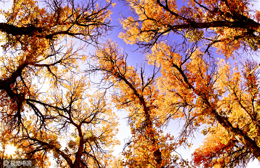 Autumn colors in China