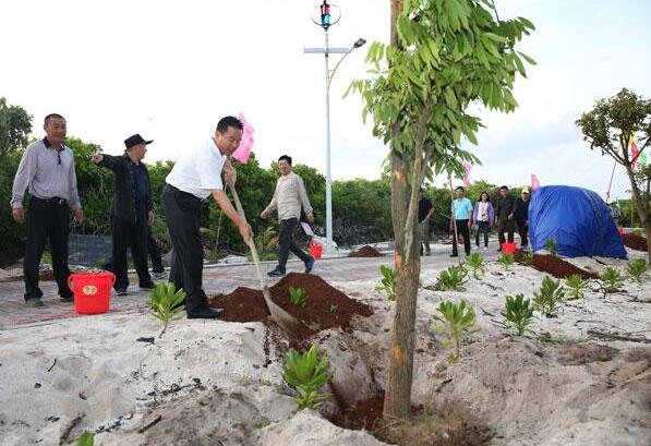 Planting trees in Sansha: An unusual task
