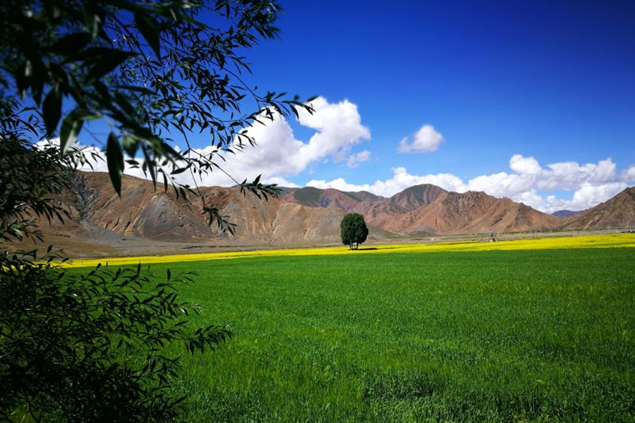 Under the blue sky of Tibet