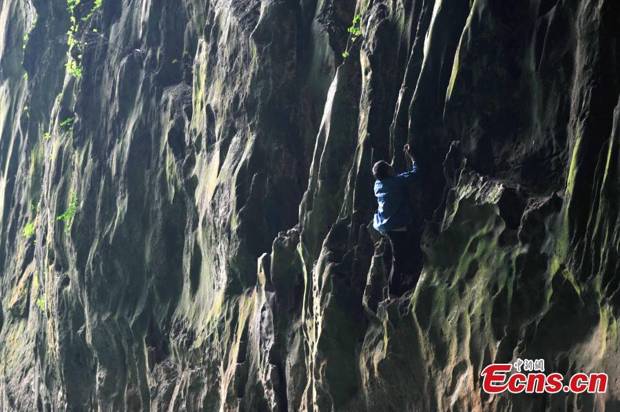 Real life spiderman scales cliff without safety equipment