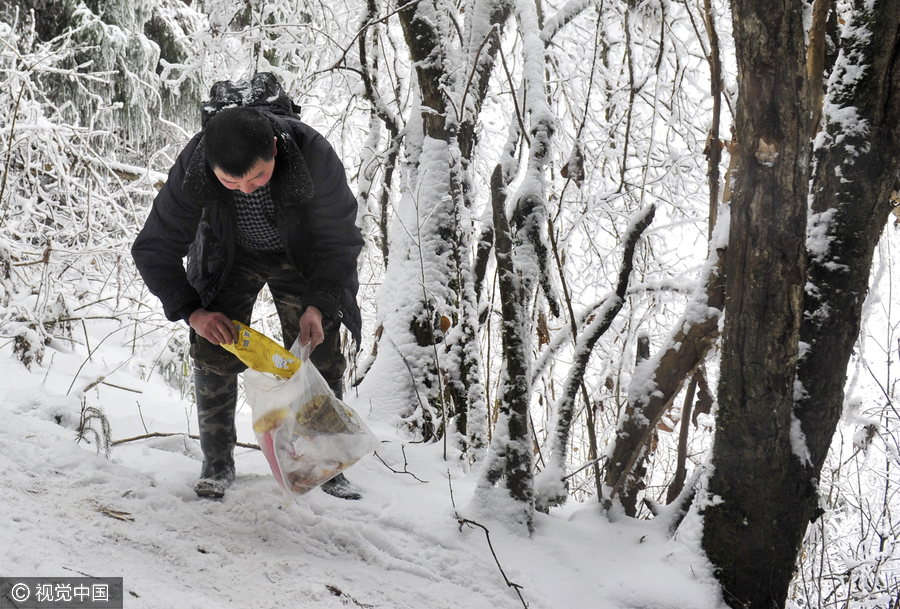 Guardian angels for wildlife