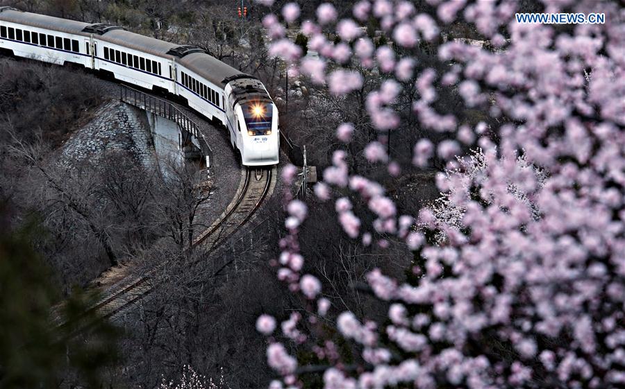 In pictures: Drone shots of the year