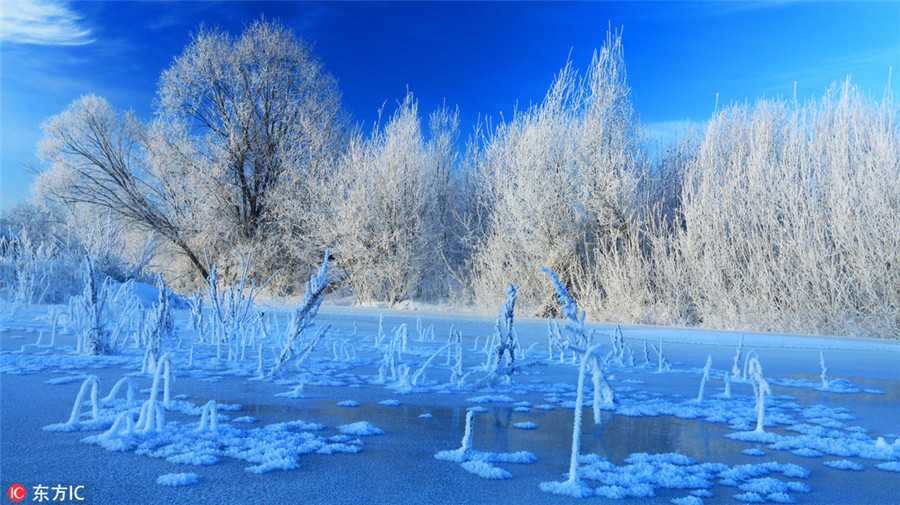 Snow and ice turn Greater Hinggan Mountains a magical world