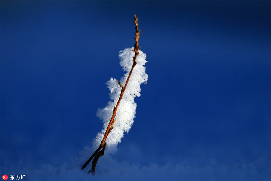 Snow and ice turn Greater Hinggan Mountains a magical world