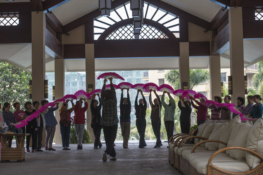 Life of 'migrating birds' in Hainan through photographer's lens