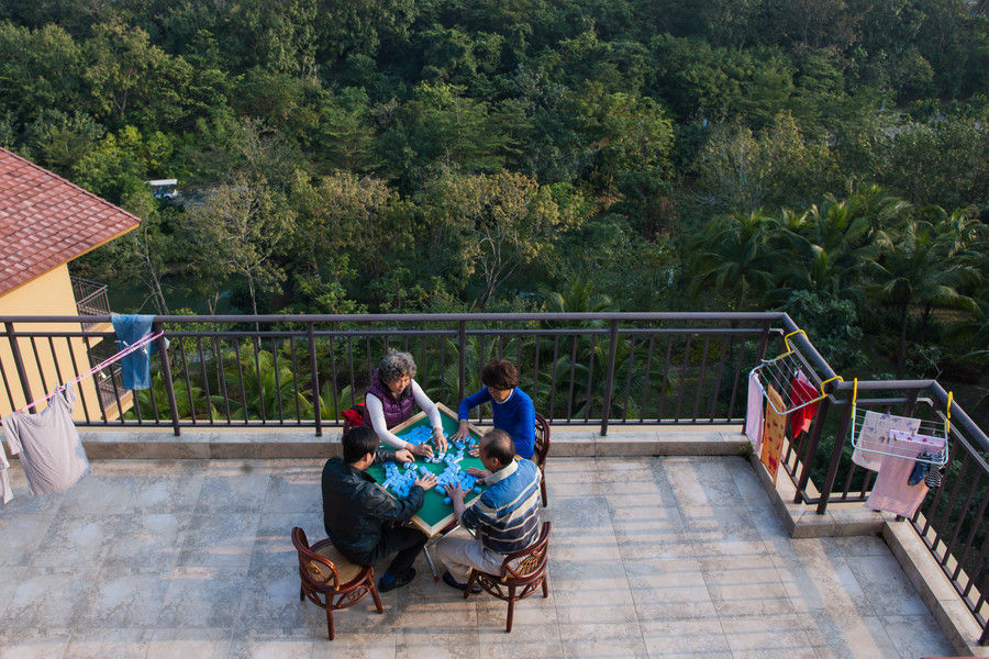 Life of 'migrating birds' in Hainan through photographer's lens