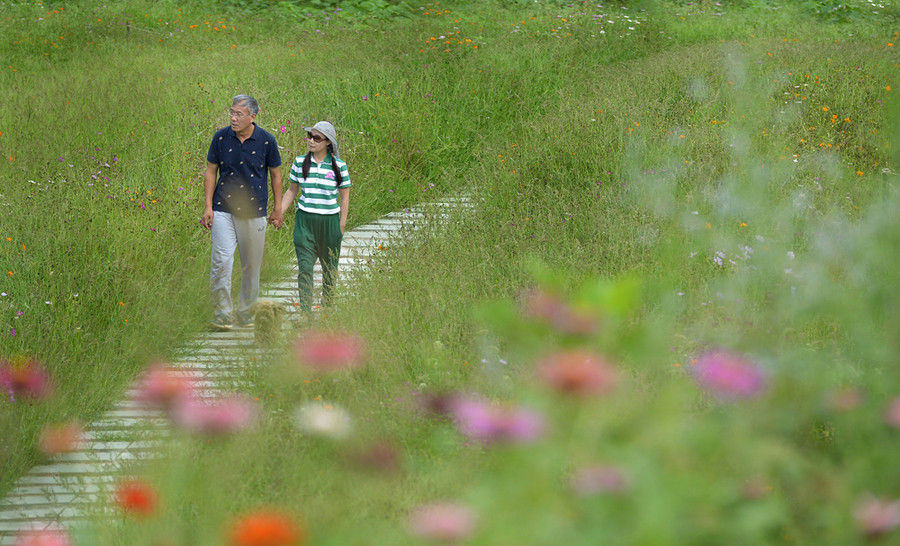 Couple's flower valley planted with love gains national attention