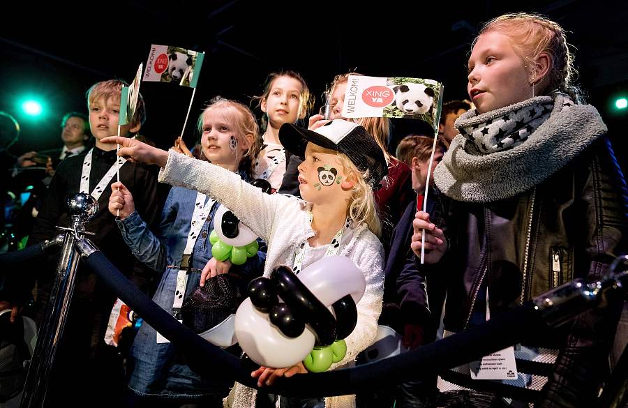 Two pandas from China greeted in Netherlands