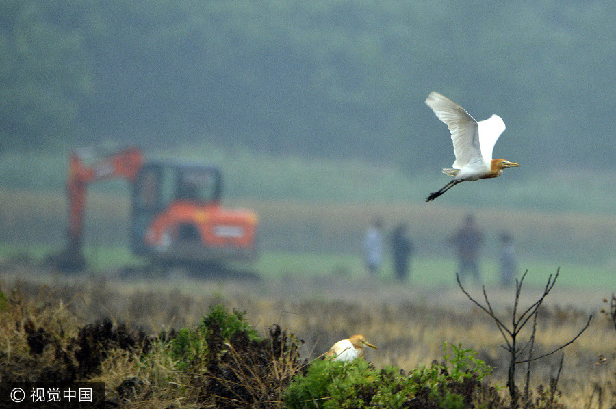 Ten photos from across China: May 19-25