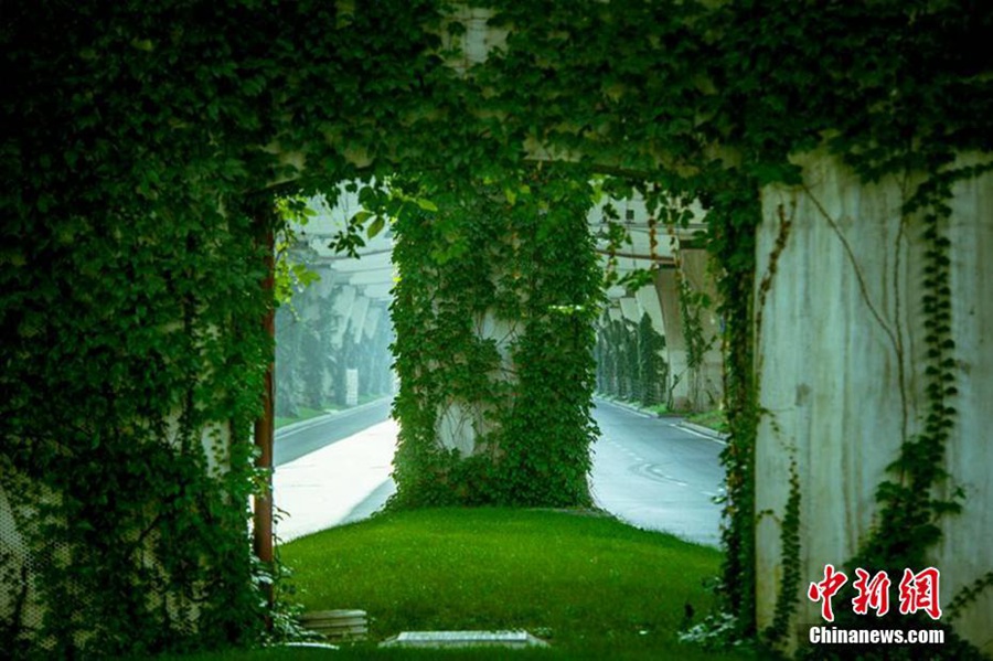 Green bridge a soothing sight in Chengdu