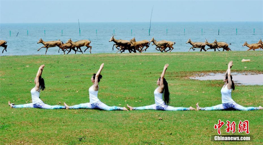 Yoga lovers stretch next to Poyang Lake