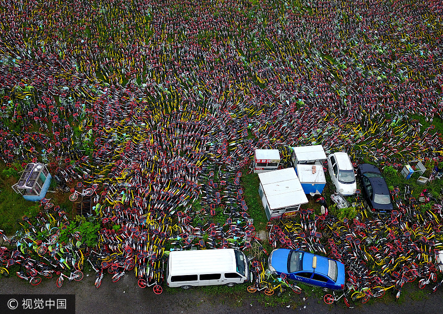 Peak problem: Mountain of impounded shared bikes seen in Hefei