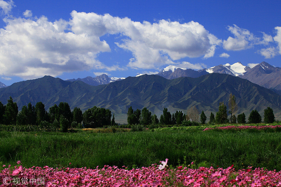 2% of land to be used to protect wildlife, pristine areas