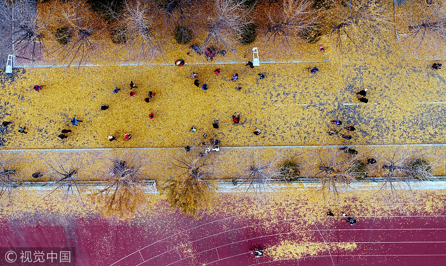 Ten photos from across China: Oct 20-26