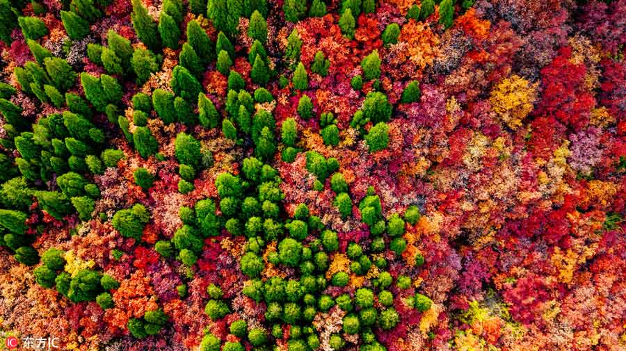 Gorgeous autumn scenery across China