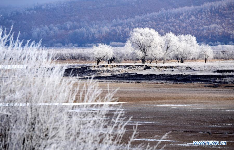 Rime scenery in Northeast China's Heilongjiang