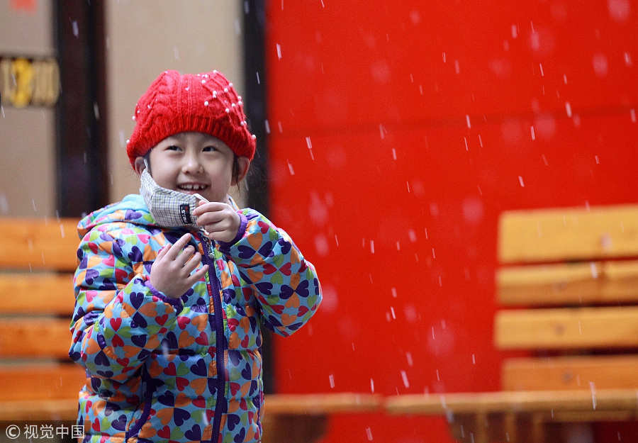 Harbin sees first snowfall of the year