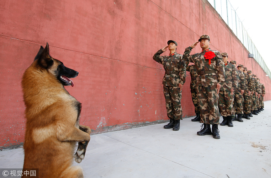 Ten photos from across China: Nov 24-30