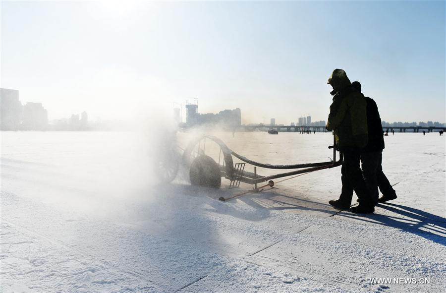 Ice collecting season begins in Harbin